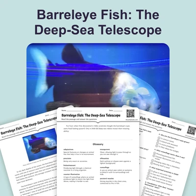 Barreleye Fish: The Deep-Sea Telescope - reading educational content