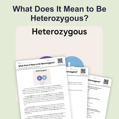 What Does It Mean to Be Heterozygous? - reading educational content