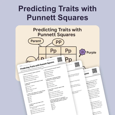 Predicting Traits with Punnett Squares - reading educational content