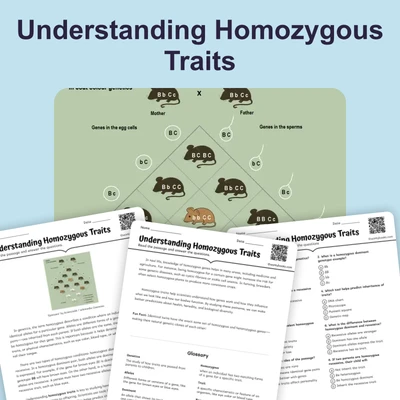 Understanding Homozygous Traits - reading educational content