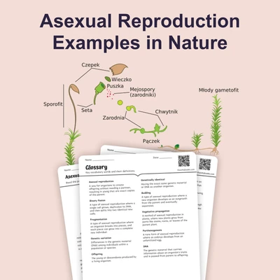 Asexual Reproduction Examples in Nature - reading educational content