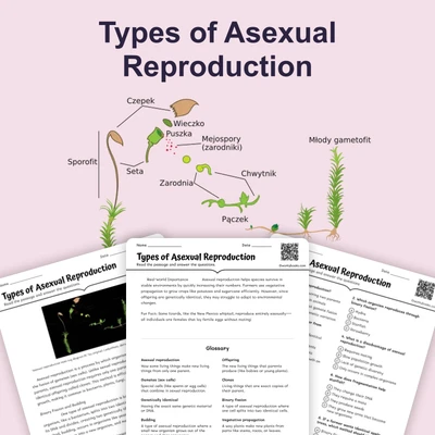 Types of Asexual Reproduction - reading educational content