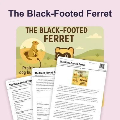 The Black-Footed Ferret - reading educational content