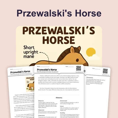 Przewalski's Horse - reading educational content