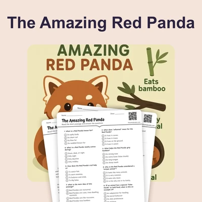 The Amazing Red Panda - reading educational content