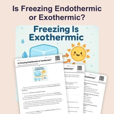 Is Freezing Endothermic or Exothermic? - reading educational content