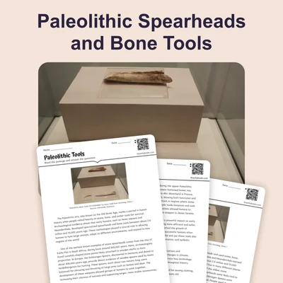 Tools of the Stone Age - reading educational content