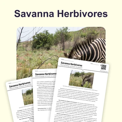 Herbivores of Savanna - reading educational content