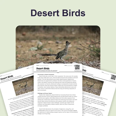 Desert Birds - reading educational content