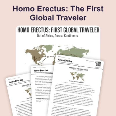 Homo Erectus - reading educational content