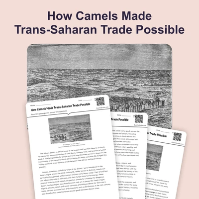 How Camels Made Trans-Saharan Trade Possible - reading educational content
