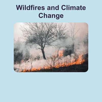 Wildfires and Climate Change - reading educational content