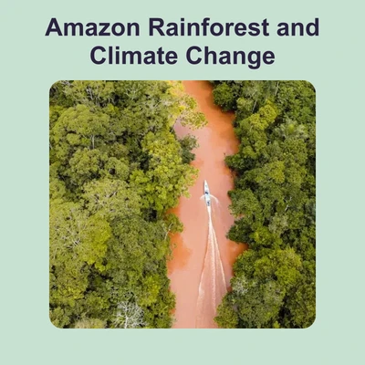 Amazon Rainforest and Climate Change - reading educational content