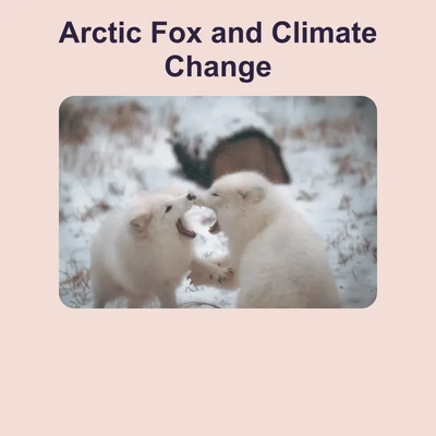 Arctic Fox and Climate Change - reading educational content
