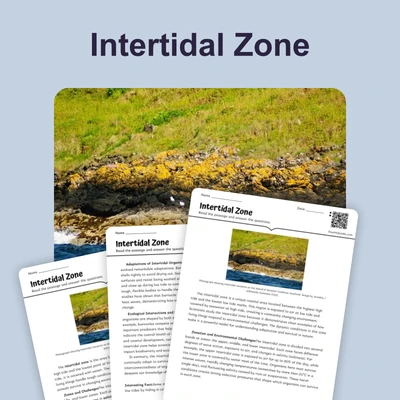 Intertidal Zone - reading educational content