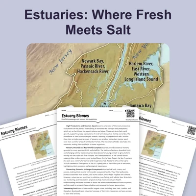 What Are Estuaries - reading educational content