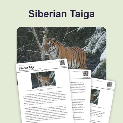 Siberian Taiga - reading educational content