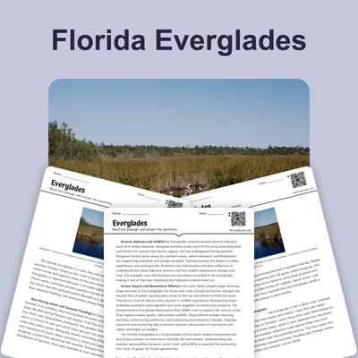 Florida Everglades - reading educational content