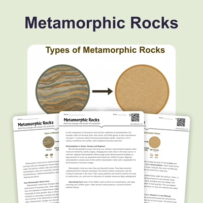 Metamorphic Rocks - reading educational content