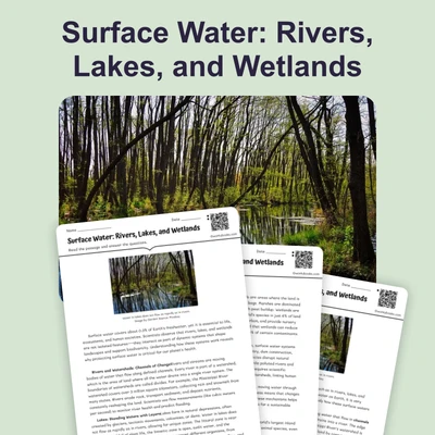 Surface Water: Rivers, Lakes, and Wetlands - reading educational content