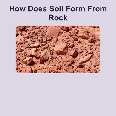 How Does Soil Form From Rock - reading educational content