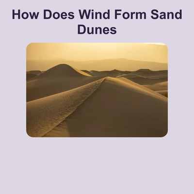 How Does Wind Form Sand Dunes - reading educational content
