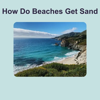 How Do Beaches Get Sand - reading educational content