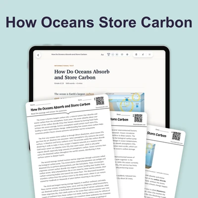 How Do Oceans Absorb and Store Carbon - reading educational content