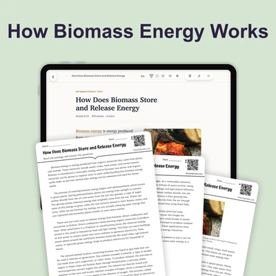 How Does Biomass Store and Release Energy - reading educational content