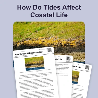 How Do Tides Affect Coastal Life - reading educational content
