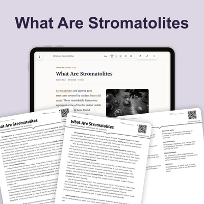 What Are Stromatolites - reading educational content