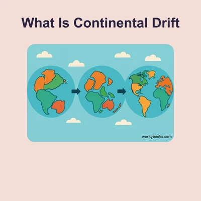 What Is Continental Drift - reading educational content