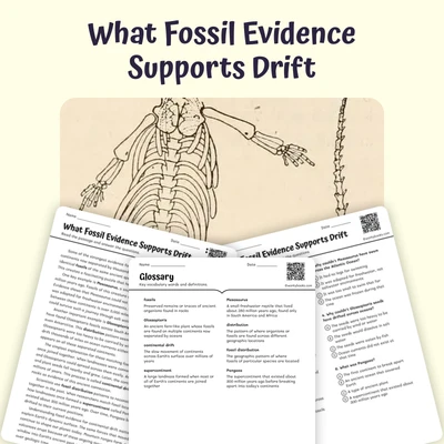 What Fossil Evidence Supports Drift - reading educational content
