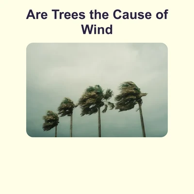 Do Trees Cause Wind - reading educational content
