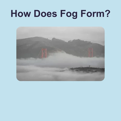 How Fog Forms - reading educational content