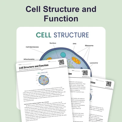 Cell Structure and Function - reading educational content