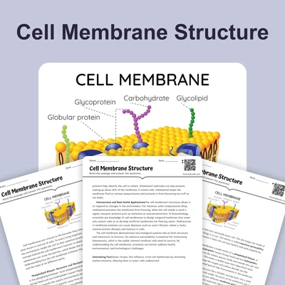 Cell Membrane Structure - reading educational content