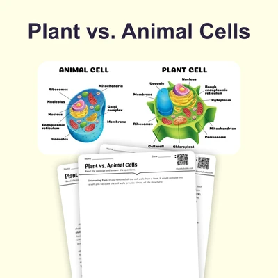Plant vs. Animal Cells - reading educational content