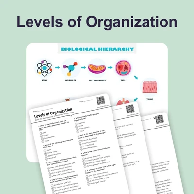 Levels of Organization - reading educational content