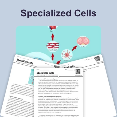 Specialized Cells - reading educational content