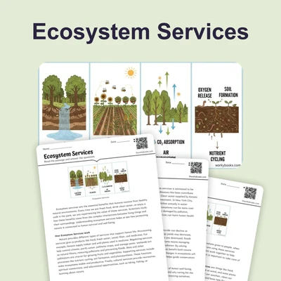 Ecosystem Services - reading educational content