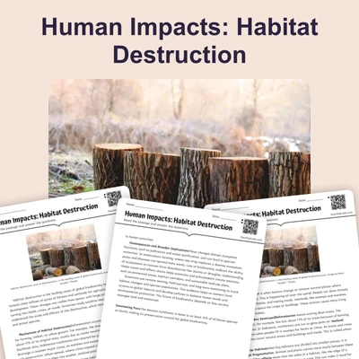 Human Impacts: Habitat Destruction - reading educational content