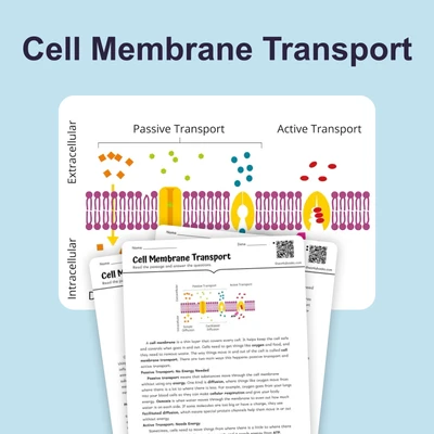 Cell Membrane Transport - reading educational content