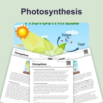 Photosynthesis - reading educational content