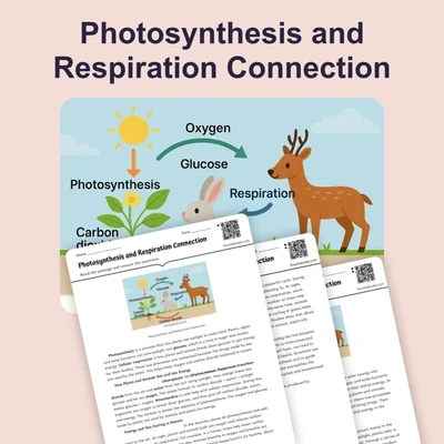 Photosynthesis and Respiration Connection - reading educational content