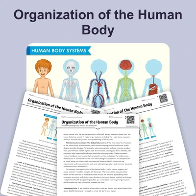 Organization of the Human Body - reading educational content