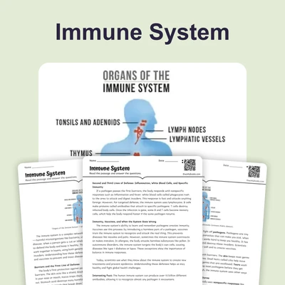 Immune System - reading educational content