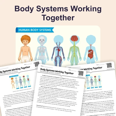 Body Systems Working Together - reading educational content