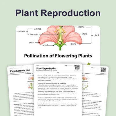 Plant Reproduction - reading educational content