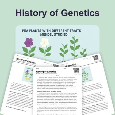 History of Genetics - reading educational content